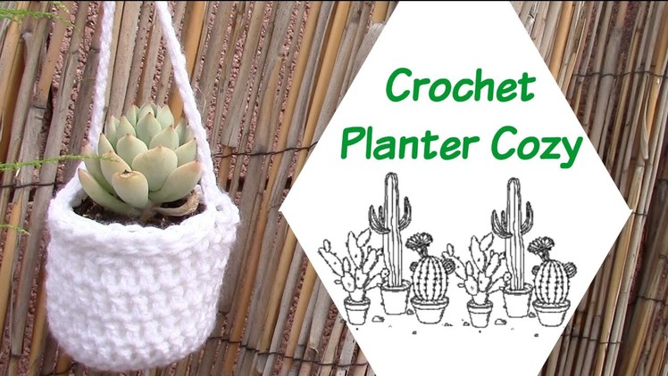 DIY Crochet Plant Cozy