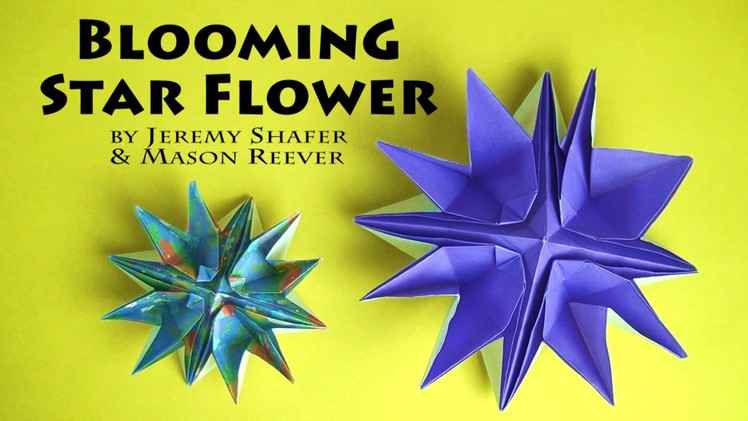 Blooming Star Flower