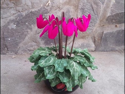 Cyclamen flower with crepe paper - craft tutorial