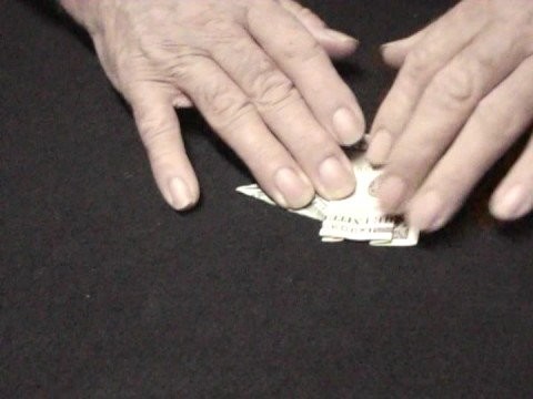 Dollar bill origami elephant