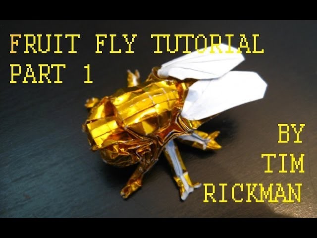 Fruit Fly Tutorial, Tim Rickman (Part 1)