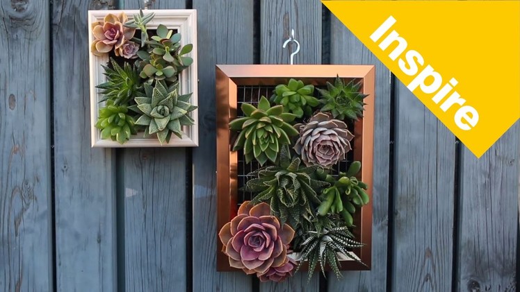 How to build a living succulent picture