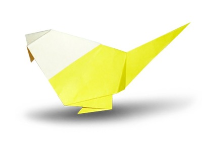 How to fold an Origami Bird