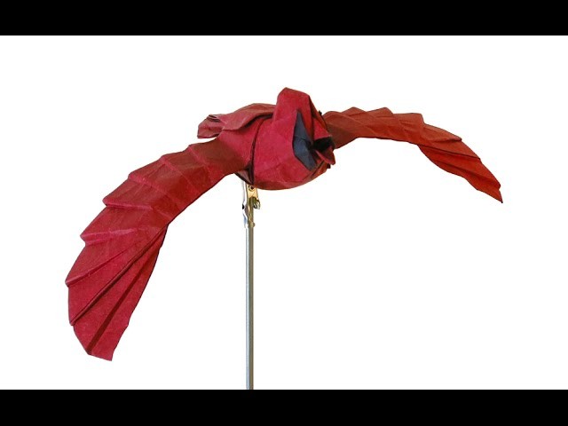 How to make an Origami Cardinal