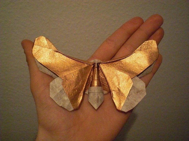Origami Butterfly "Tropico" (Alexander Kurth) Tutorial