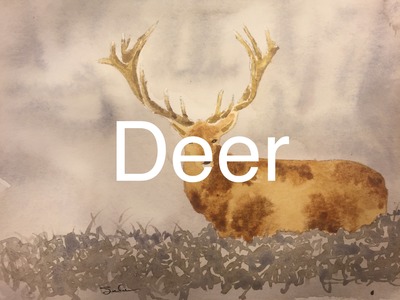 How to Paint a Deer in Watercolour Watercolor Tutorial Buck Horns
