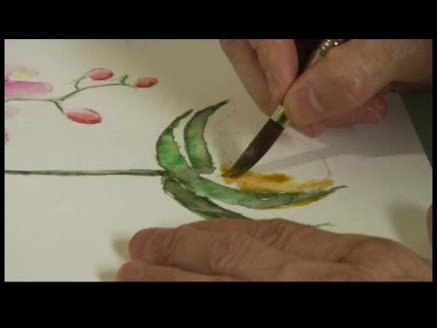 Watercolor Painting: An Orchid : Watercolor Painting an Orchid: Flower Pot