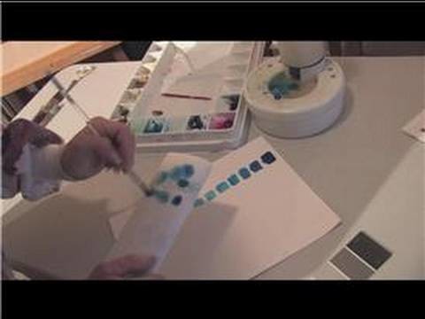 Watercolor Painting Tips & Techniques : How to Paint Using Watercolors