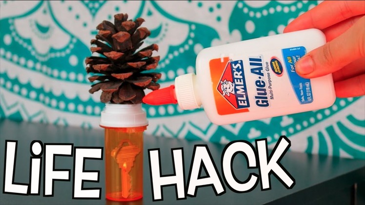 Weird Life Hacks YOU Need To Know! Nichole Jacklyne