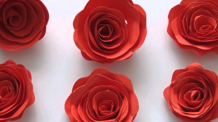 Hand made paper flowers - Curled Roses