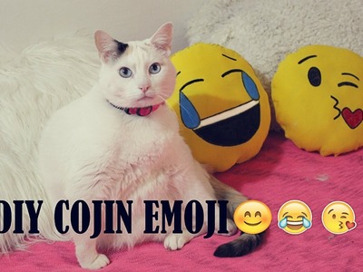 DIY cojin emoji