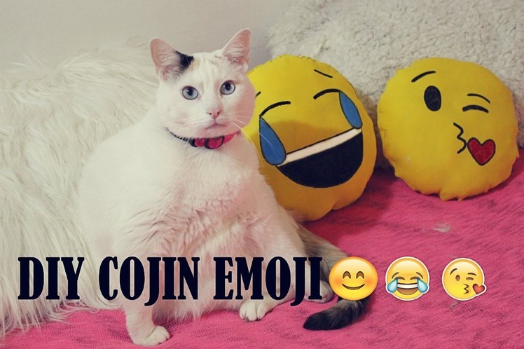 DIY cojin emoji
