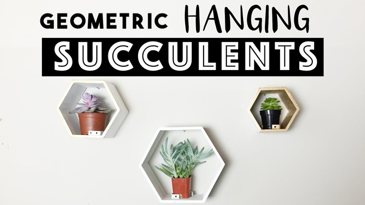 Geometric Hanging Succulents | Shelf Decor OR Hanging Garden?!