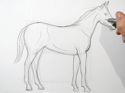 How to Draw a Horse - Real Time Drawing