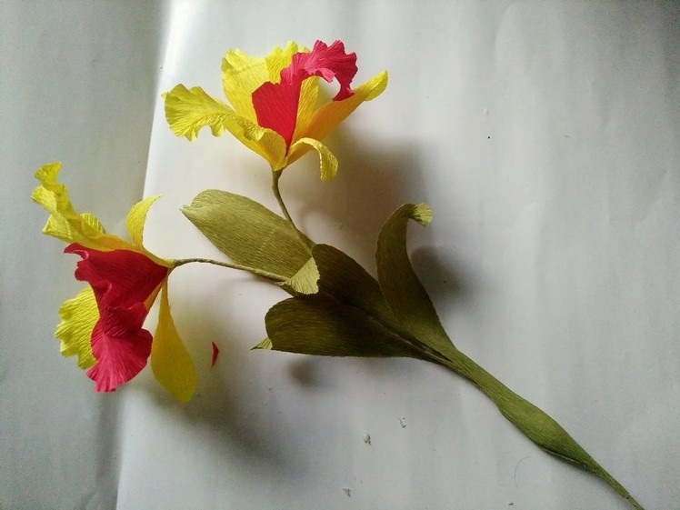 D.I.Y - How to make a paper Cattleya Orchid