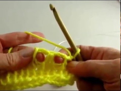 How to Do Tunisian Crochet Frosted Stitch