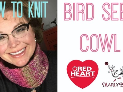 How to Knit the Bird Seed Cowl with Marly Bird