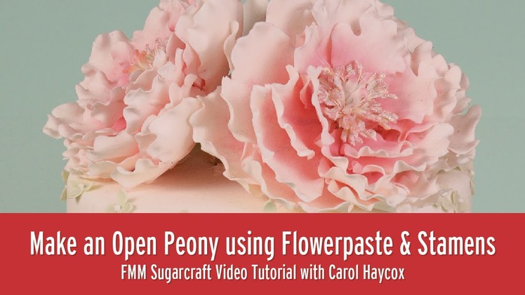 How to Make an Open Peony using Flowerpaste and Stamens