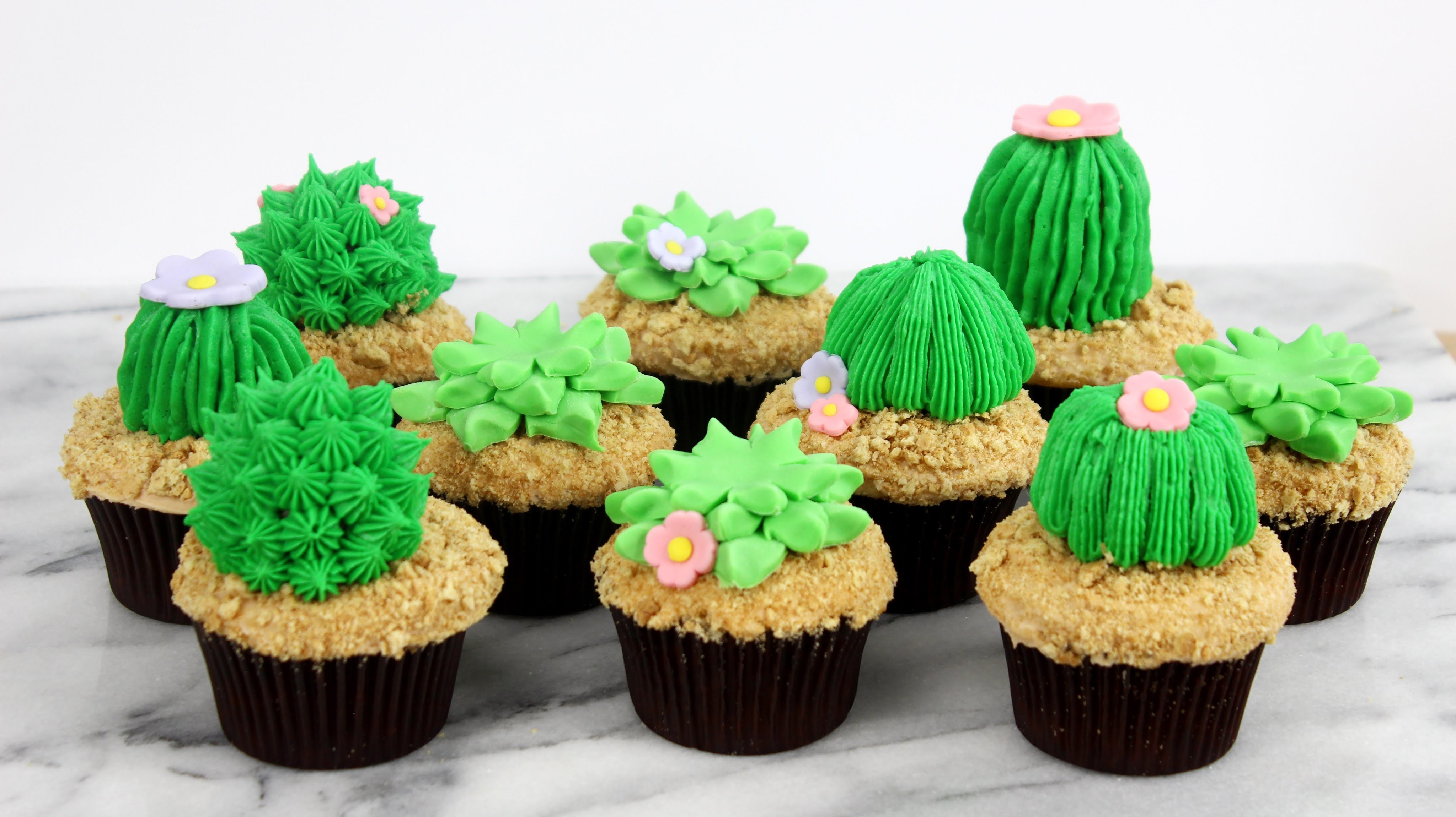How to Make Succulent Cupcakes!