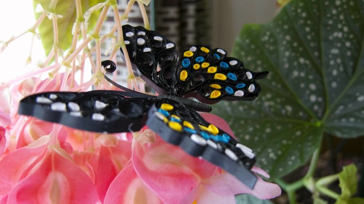 Thuy's Quilling Butterfly