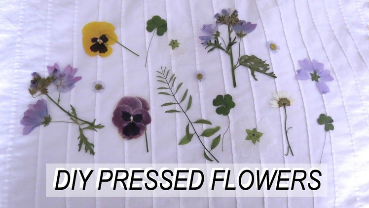 Pressed Flowers DIY | thetwinsofhearts