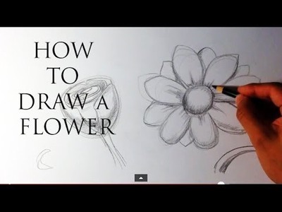 How to Draw a Flower - Easy Drawings