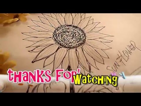 How To Draw a Sun Flower. 