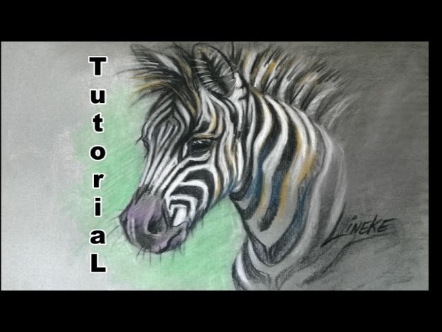 How to draw a Zebra foal. animal drawings. #38