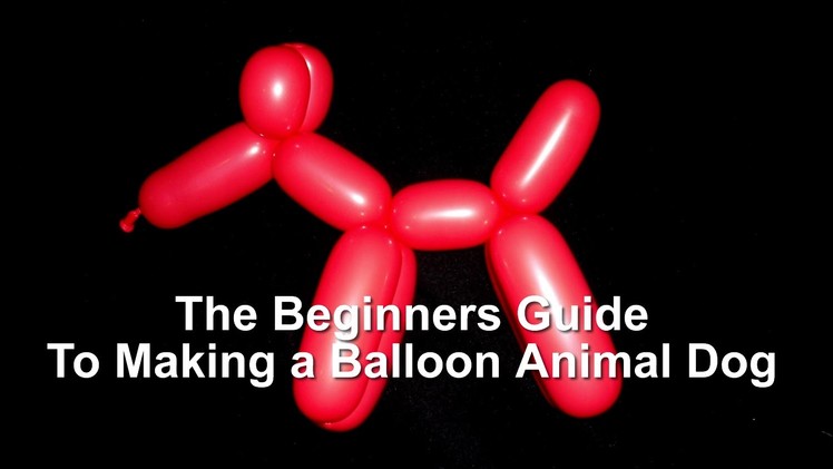 The Beginner's Guide to Making a Dog Balloon Animal