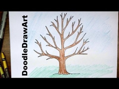 How To Draw A Tree Without Leaves -  Easy Drawing Tutorial for Beginners!