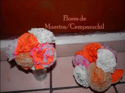 DIY Flores de papel Crepe★ ~ (◡ △ ◡✿)Con Mary La Geek