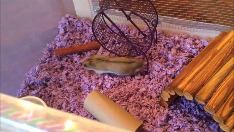 DIY Hamster Bin Cage