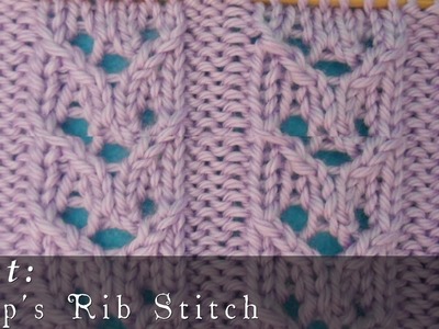 Hoop's Rib Stitch { Knit }