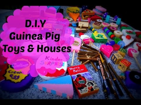 D.I.Y Guinea Pig Toys and Houses *November 2015*