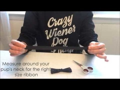 DIY Dog Bow Tie