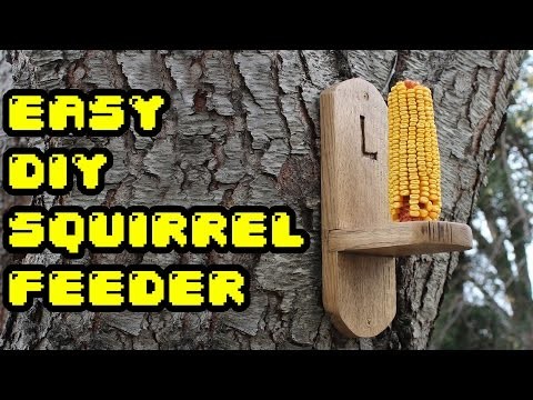 Gettin' Squirrely - Easy DIY Squirrel Feeder