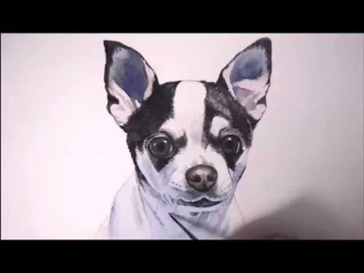 FREE Lesson. How to paint portrait of a dog, Chihuahua, time-lapse by Christopher Shellhammer