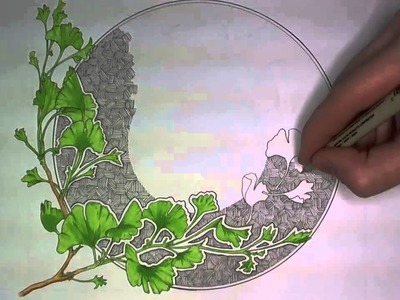 Ginkgo Leaves Drawing