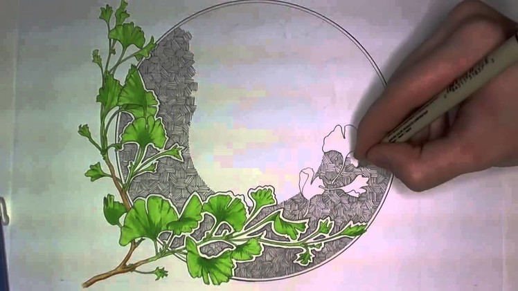 Ginkgo Leaves Drawing