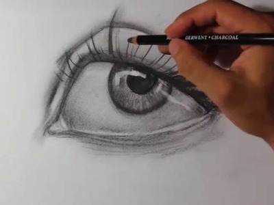 Intro to Charcoal Drawing - Easy Things To Draw