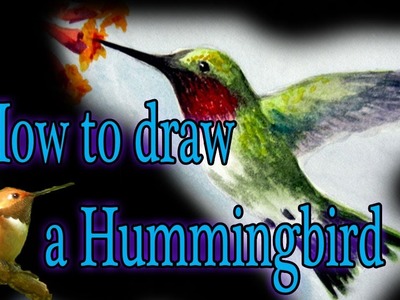 How to draw a Humming Bird