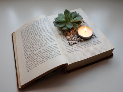 How to make a vintage book planter