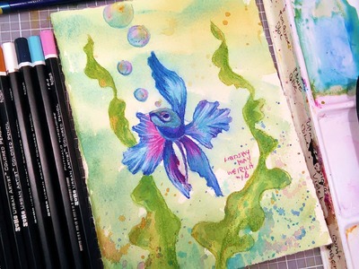 LIVE: Betta Fish Watercolor & Colored Pencil Tutorial