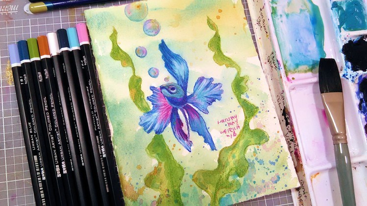 LIVE: Betta Fish Watercolor & Colored Pencil Tutorial