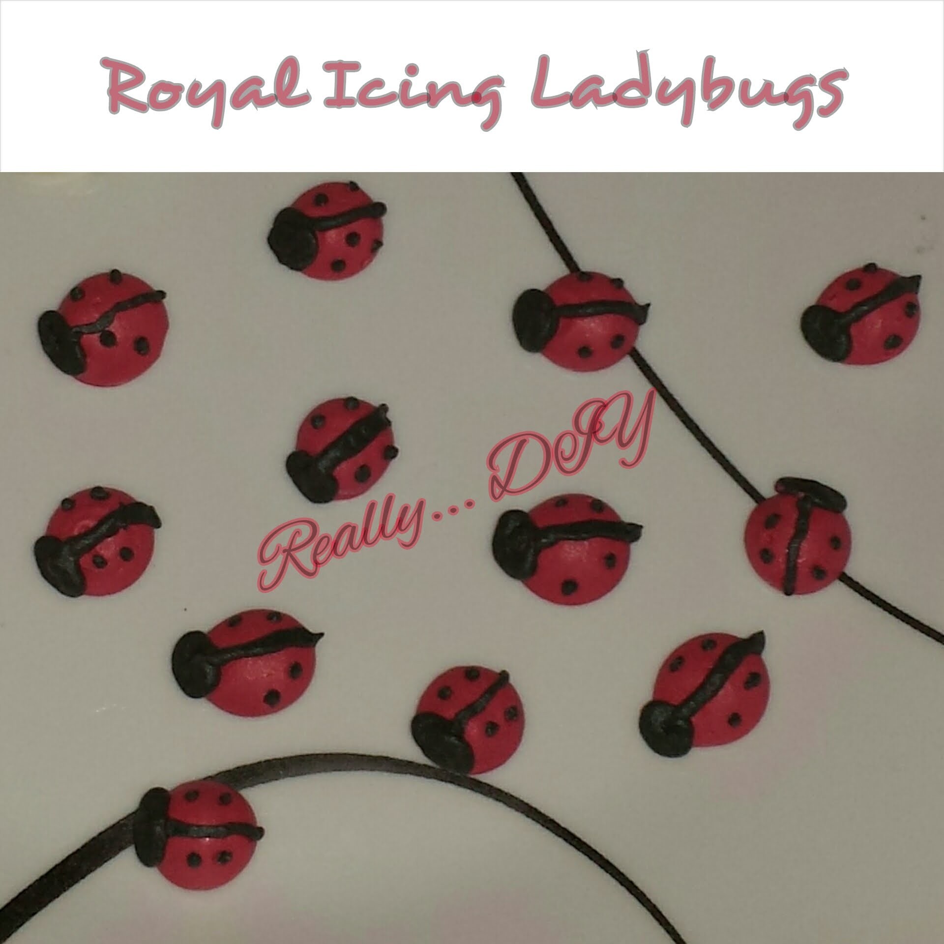 Royal Icing Edible LadyBugs