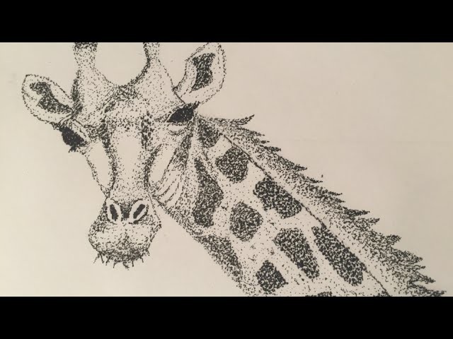 Stippling Giraffe speed drawing (Pointillism)