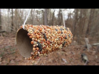 How to make a Bird Feeder for kids - Simple and Easy