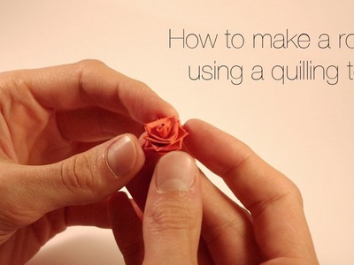 How to make a rose using a quilling tool.