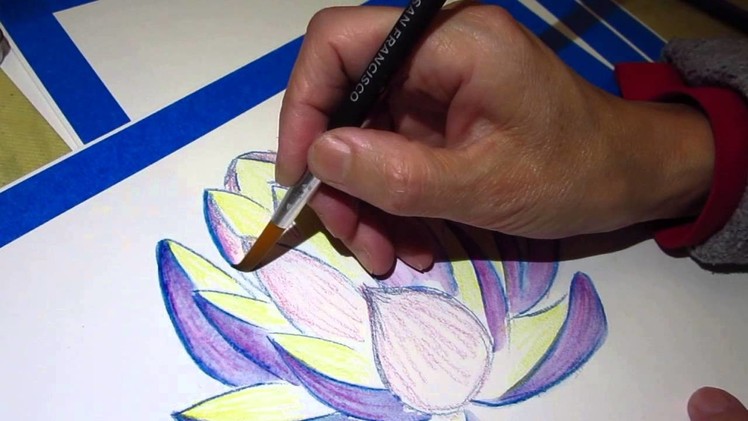 Drawing lotus with watercolor pencil