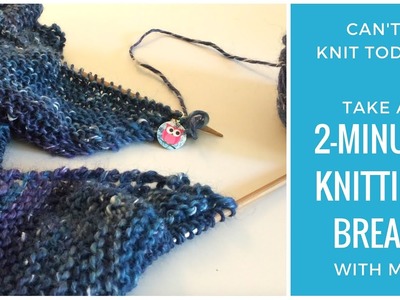 No Time to Knit? Take a 2-Minute Knitting Break with Me!
